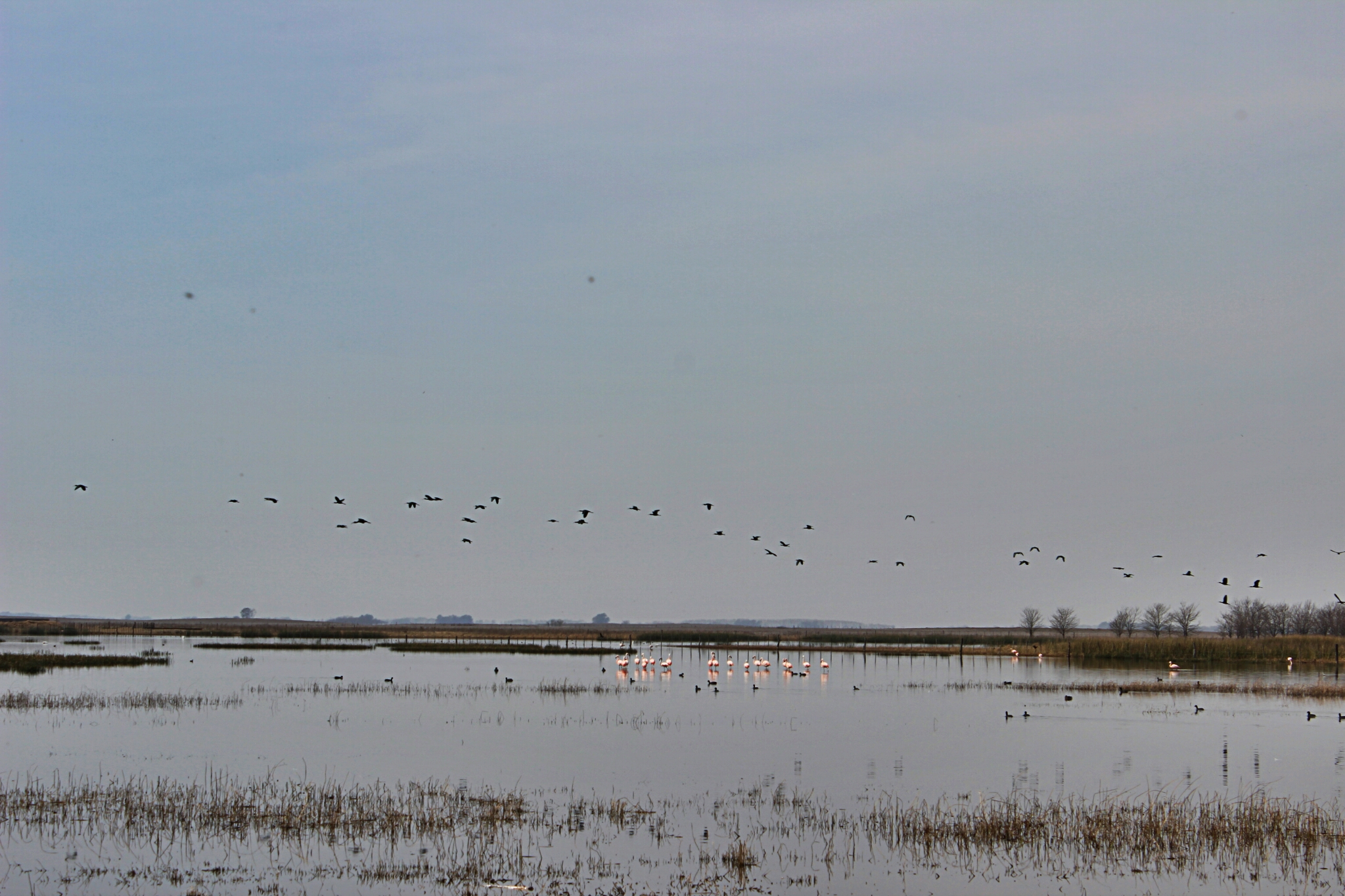 9878063876_a152b6ae8e_o